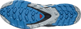 Pán. bežecká obuv XA Pro 3D v8 GTX veï. VB