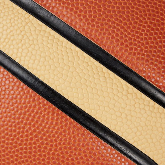 ProTouch Basketbalová lopta Harlem 900 VG: 1213095 League