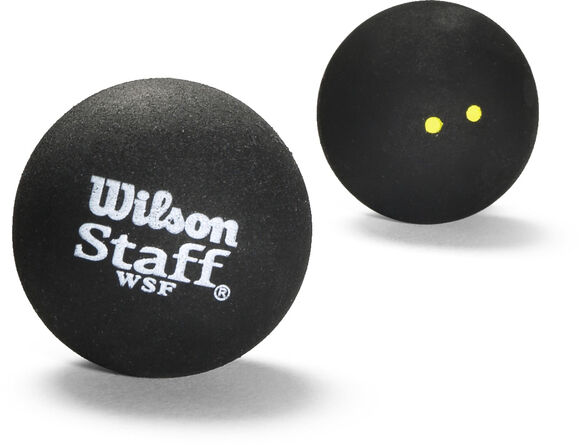 Staff Squash loptiČka, 1 lopta v dóze, 4 úrovne